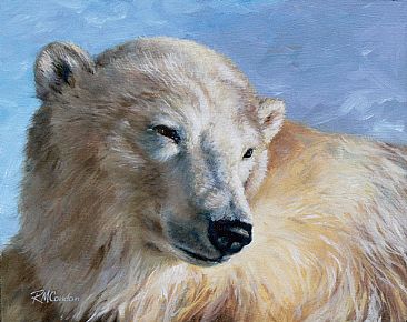 Polar Bear Study - Polar Bear by RoseMarie Condon