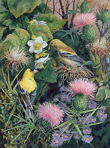 September Gold - American Goldfinches by RoseMarie Condon
