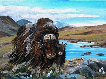 'Q' The Canadian Shield Alphabet - Musk Ox and calf by RoseMarie Condon