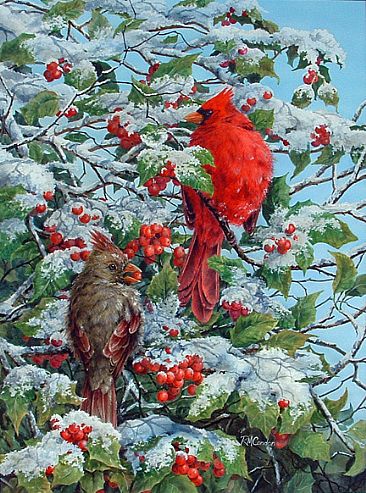 Winter Cardinals - Male and Female Cardinal by RoseMarie Condon