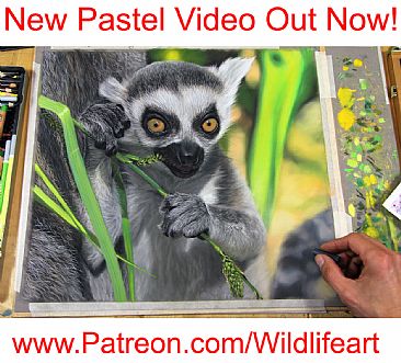 Lemur Baby Pastel - Primate by Jason Morgan