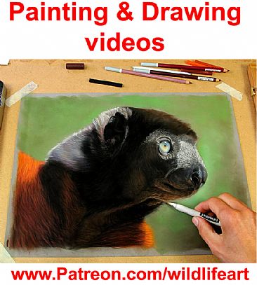 Painting + drawing videos - Lemur by Jason Morgan