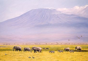 Kilimanjaro Landscape - African Wildlife Art by Jason Morgan