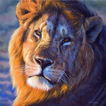 African Lion - Evening Sun - African Lion - Big Cats by Jason Morgan