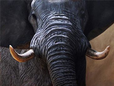 African Elephant oil on canvas - african elephant by Jason Morgan