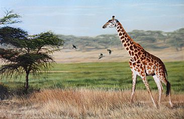 Giraffe - Giraffe - African Wildlife Art by Jason Morgan