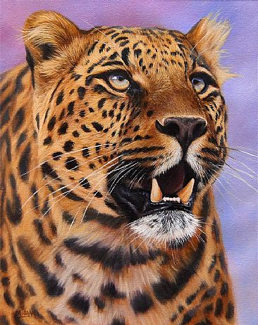 Leopard - For Sale - wildlife art - big cats by Jason Morgan