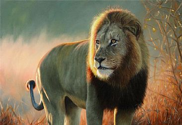 African Lion - Lion - Big cats by Jason Morgan