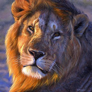 African Lion - Latest Giclee Print - Big Cats by Jason Morgan