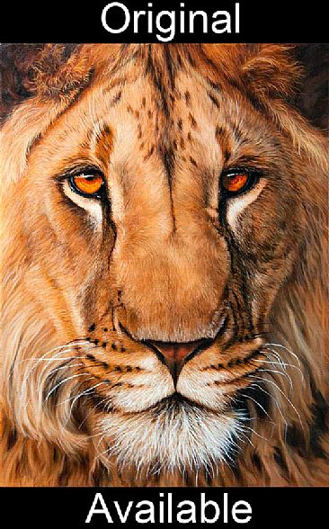 Lion portrait - Big Cats Original by Jason Morgan