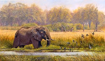 Okavango Elephant - African Elephant by Jason Morgan