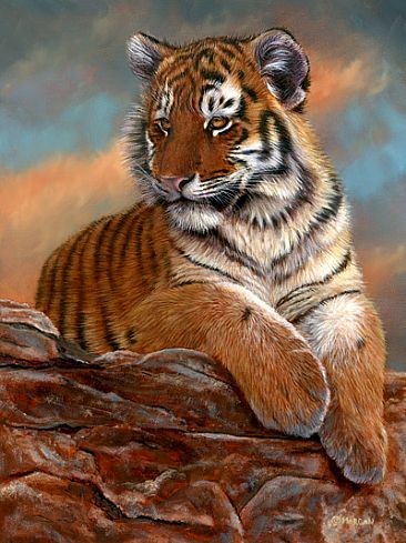 Regal Pose - Tiger Cub - Tiger Cub by Jason Morgan