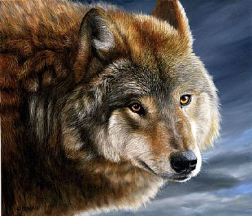 Wolf Painting - wolf by Jason Morgan