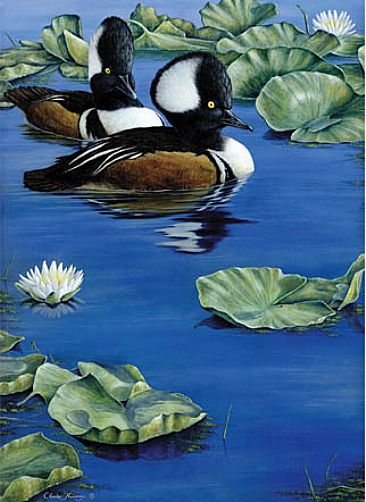 Blue Morning (Sold)  - Hooded Merganser by Claude Thivierge