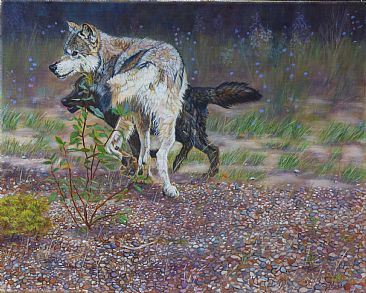 Shadow of Wolf - Wolves by Theresa Eichler