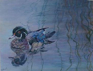 Prince of Ponds - Immature Wood Duck by Theresa Eichler