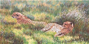 Cheetah Watch - pair of cheetahs by Theresa Eichler