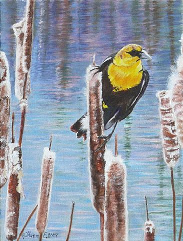 Bulrush Buccaneer - yellow-headed blackbird by Theresa Eichler