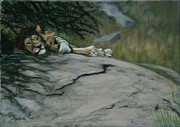 Shady Fellow (Study) - Lion Resting by Theresa Eichler