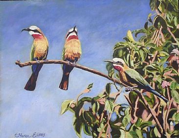 Three Little Birds - White-fronted bee-eaters at Malewa River - Kenya by Theresa Eichler