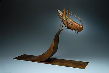 Grasshopper - grasshopper  by Diana Reuter-Twining
