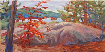 Maple in Camp - landscape by Kathy Haycock