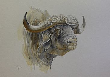 Dennis the Menace - Cape Buffalo by Peta Boyce