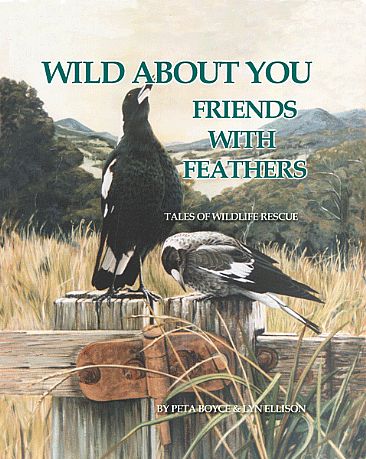 Wild About You - Friends With Feathers - FRONT COVER -  by Peta Boyce