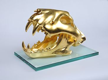 Gilded Tiger 2063 - sculpture of Siberian Tiger skull by Martin Hayward-Harris