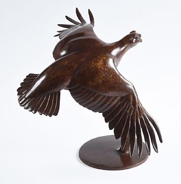 Red Grouse in Flight - Red Grouse by Martin Hayward-Harris