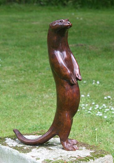 Begging Otter -  by Martin Hayward-Harris