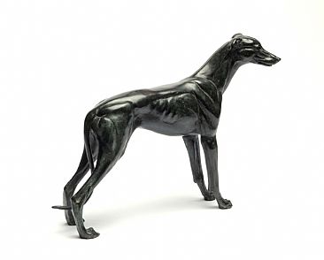 Racing Greyhound - Racing Greyhound by Martin Hayward-Harris