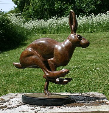 Running Hare - running hare by Martin Hayward-Harris