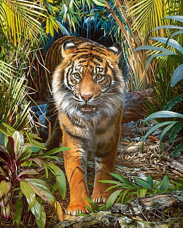 OUT OF THE SHADOWS - SUMATRAN TIGER by Stephen Jesic