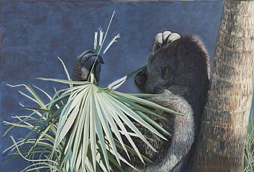 Palmetto Contemplation - Silverback Gorilla by Patsy Lindamood