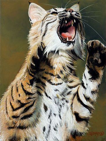 Bobcat Rage - Bobcat by Patsy Lindamood