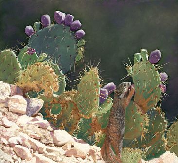 Cactus Squirrel - Squirrel by Patsy Lindamood