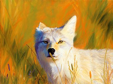 Close Enough - Coyote by Patsy Lindamood
