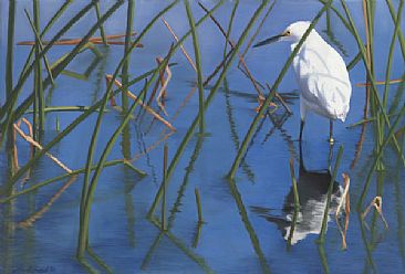 Double Egret - White Egret by Patsy Lindamood