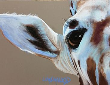 Eye've Got an Eye on You - Giraffe by Patsy Lindamood