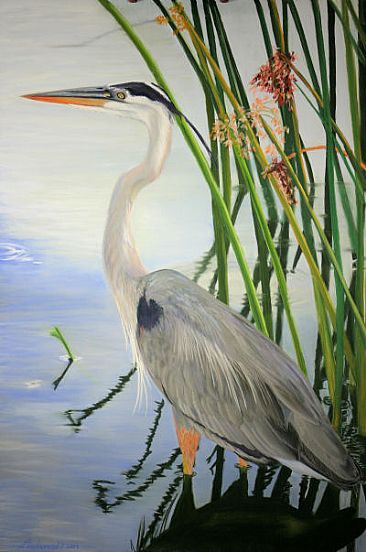 Great Blue - Through the Grass - Great Blue Heron by Patsy Lindamood