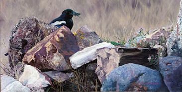 Magpie's Catch - Magpie by Patsy Lindamood