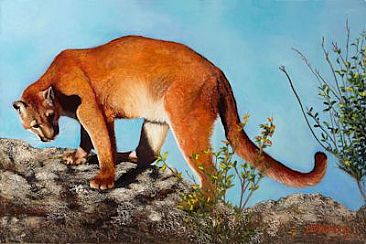 Mountain Lion Look Back - Mountain Lion by Patsy Lindamood