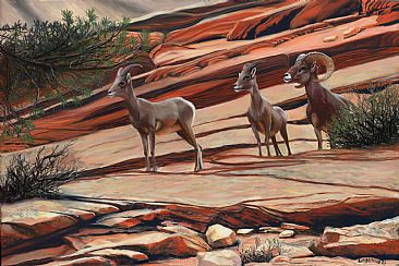 Red Rock Rangers - Big Horn Sheep by Patsy Lindamood