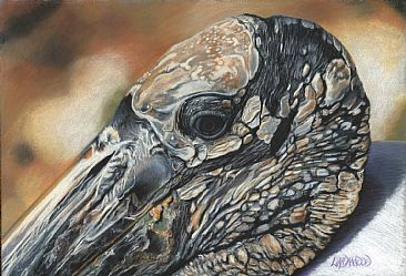 Stork's Eye View - Wood Storks by Patsy Lindamood