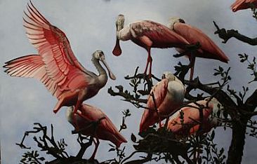 Upon Arrival - Spoonbills by Patsy Lindamood