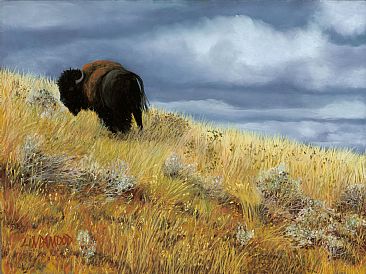 The Long Goodbye - Bison by Patsy Lindamood