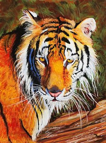 Tiger, Tiger, Burning Bright! - Tiger by Patsy Lindamood
