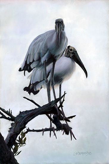 Wood Stork Blues - Wood Storks by Patsy Lindamood