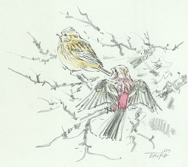 Asking for ... - Long-tailed Rosefinch by Eriko Kobayashi